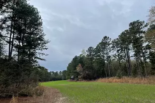 7901 Ashleigh Rd, Blackville, SC 29817 - Photo 7