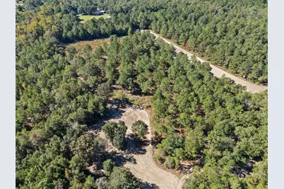 7901 Ashleigh Road, Blackville, SC 29817 - Photo 77