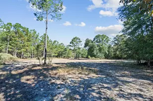 7901 Ashleigh Rd, Blackville, SC 29817 - Photo 71