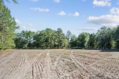 7901 Ashleigh Road, Blackville, SC 29817 - Photo 63