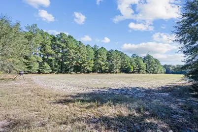 7901 Ashleigh Road, Blackville, SC 29817 - Photo 67