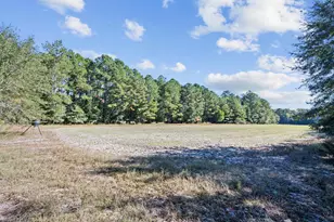 7901 Ashleigh Rd, Blackville, SC 29817 - Photo 67