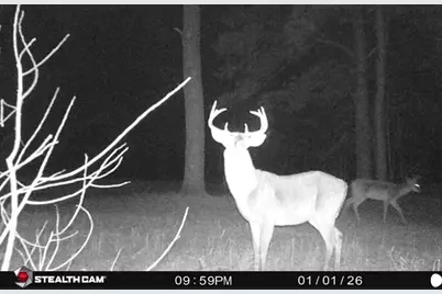 7901 Ashleigh Road, Blackville, SC 29817 - Photo 5