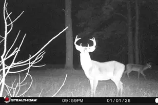 7901 Ashleigh Rd, Blackville, SC 29817 - Photo 5