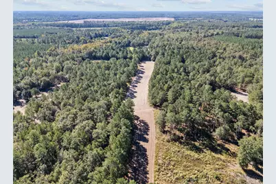 7901 Ashleigh Road, Blackville, SC 29817 - Photo 75