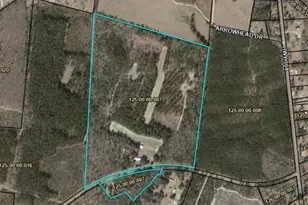 7901 Ashleigh Rd, Blackville, SC 29817 - Photo 7