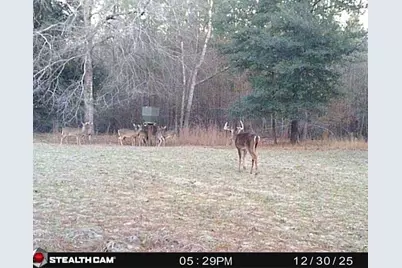 7901 Ashleigh Road, Blackville, SC 29817 - Photo 61