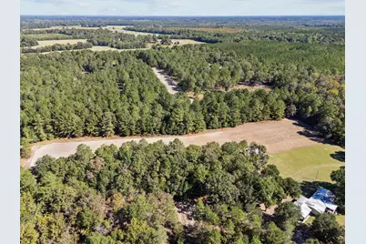 7901 Ashleigh Road, Blackville, SC 29817 - Photo 73