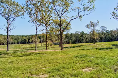 793 Flowing Well Road, Wagener, SC 29164 - Photo 79