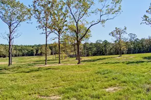 793 Flowing Well Rd, Wagener, SC 29164 - Photo 79