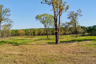 793 Flowing Well Road, Wagener, SC 29164 - Photo 77