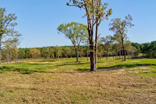 793 Flowing Well Rd, Wagener, SC 29164 - Photo 77