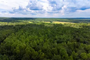 220 Destiny Ln, Aiken, SC 29805 - Photo 29