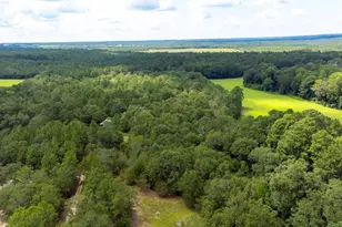 220 Destiny Ln, Aiken, SC 29805 - Photo 33