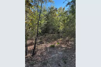 Tbd Pearl Bonnett, Windsor, SC 29856 - Photo 7