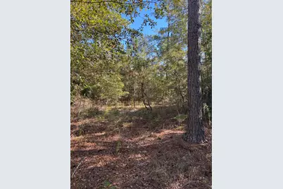 Tbd Pearl Bonnett, Windsor, SC 29856 - Photo 11