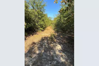 Tbd Pearl Bonnett, Windsor, SC 29856 - Photo 13