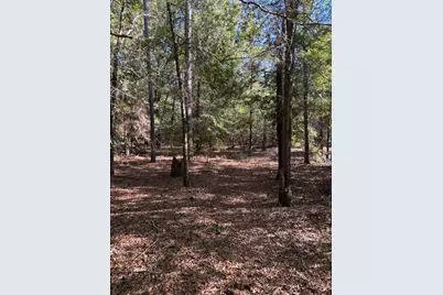 Tbd Pearl Bonnett, Windsor, SC 29856 - Photo 5