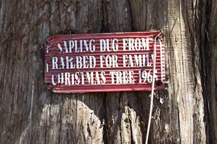 304 Depot Ave NE, Salley, SC 29137 - Photo 11