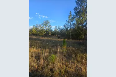 Tbd Hamilton Branch Way, Aiken, SC 29803 - Photo 5