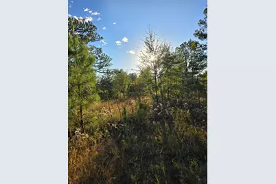 Tbd Hamilton Branch Way, Aiken, SC 29803 - Photo 3