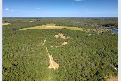 988 Flowing Well Road, Wagener, SC 29164 - Photo 9