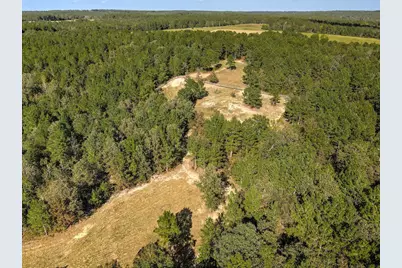 988 Flowing Well Road, Wagener, SC 29164 - Photo 11