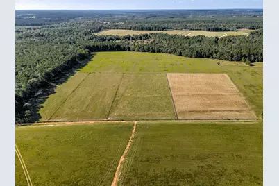 988 Flowing Well Road, Wagener, SC 29164 - Photo 7