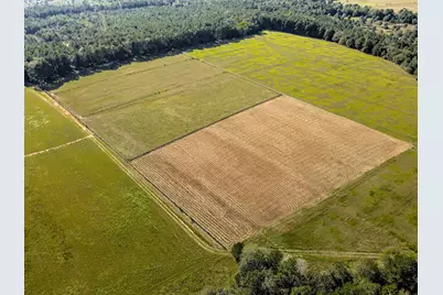 988 Flowing Well Road, Wagener, SC 29164 - Photo 3