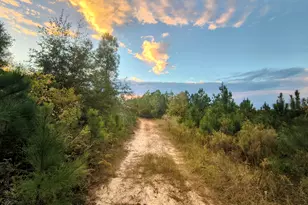 2427 Wire Rd, Aiken, SC 29805 - Photo 35