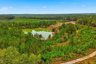 2427 Wire Rd, Aiken, SC 29805 - Photo 47