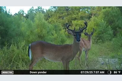 2427 Wire Road, Aiken, SC 29805 - Photo 49