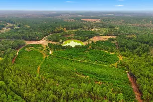 2427 Wire Rd, Aiken, SC 29805 - Photo 43