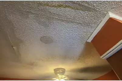 722 Stilton Road, Orangeburg, SC 29115 - Photo 5