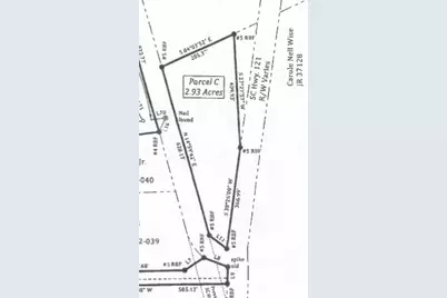 0 Hwy 121, Trenton, SC 29847 - Photo 3