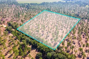 Lot 5 Bluffwood Rd, Wagener, SC 29164 - Photo 1