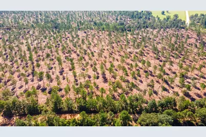 Lot 5 Bluffwood Road, Wagener, SC 29164 - Photo 3