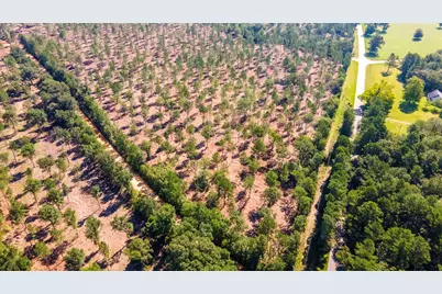 Lot 4 Camp Rawls & Bluffwood Road, Wagener, SC 29164 - Photo 3