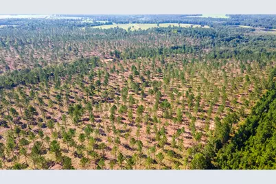 Lot 2 Bluffwood Road, Wagener, SC 29164 - Photo 9