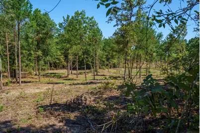 Lot 2 Bluffwood Road, Wagener, SC 29164 - Photo 3