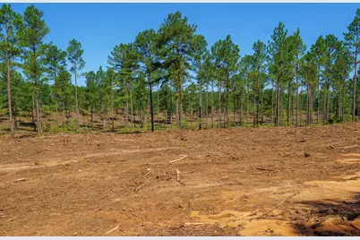 Lot 2 Bluffwood Road, Wagener, SC 29164 - Photo 5