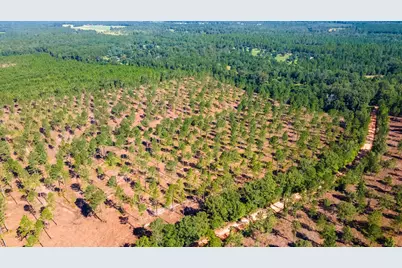 Lot 2 Bluffwood Road, Wagener, SC 29164 - Photo 7