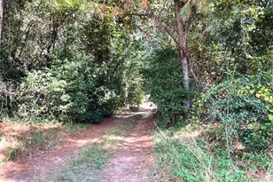 5953 Festival Trail Rd, Salley, SC 29137 - Photo 11