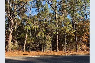 Lot 1 11.06 Acre State Park Road, Windsor, SC 29856 - Photo 3