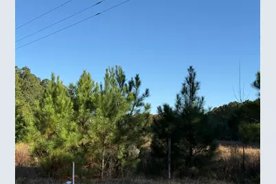 Lot 4 13.97 Acre State Park Road, Windsor, SC 29856 - Photo 3
