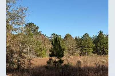 Lot 6 11.25 Acre State Park Road, Windsor, SC 29856 - Photo 3