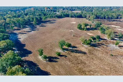65 Acres Wagener Road, Aiken, SC 29801 - Photo 35