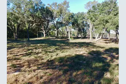 65 Acres Wagener Road, Aiken, SC 29801 - Photo 17