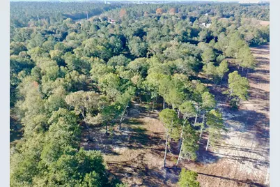 65 Acres Wagener Road, Aiken, SC 29801 - Photo 21