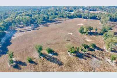 65 Acres Wagener Road, Aiken, SC 29801 - Photo 41
